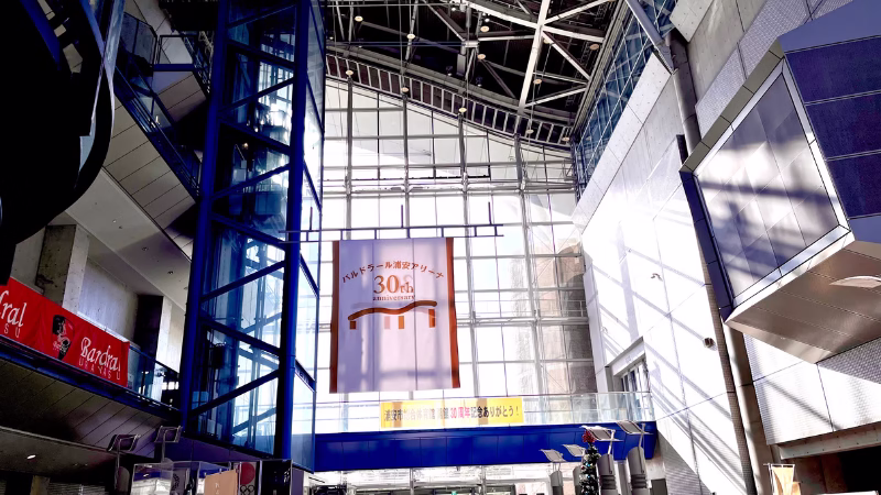 バルドラール浦安アリーナ