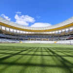 秋のスポーツ